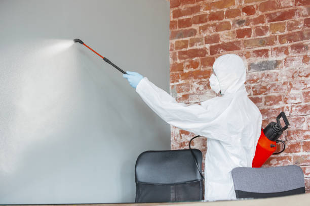 Best Environmental Consulting for Mold Prevention  in Detroit, MI