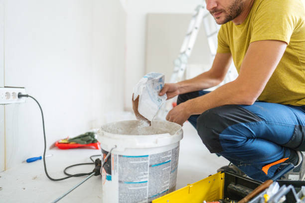 Reliable Detroit, MI Mold Removal Solutions