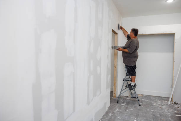 Best Emergency Mold Remediation  in Detroit, MI
